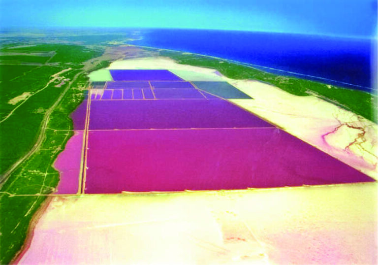 D. Salina Farm - Whyalla Australia
