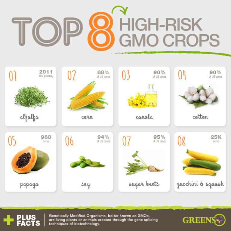 gmo, gmo foods, high risk gmo, non gmo, organic