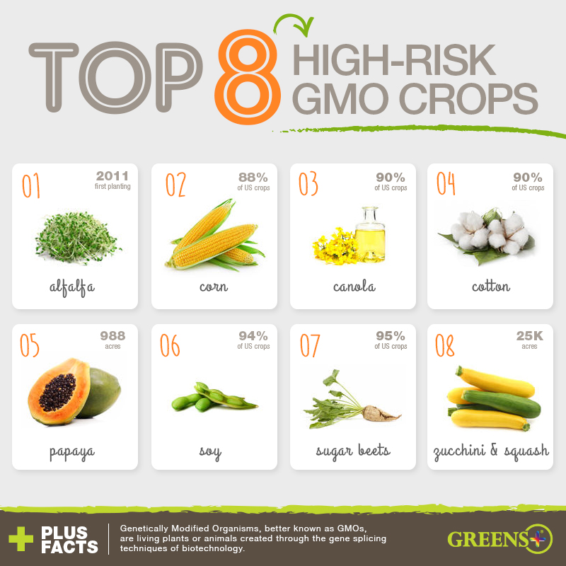 gmo, gmo foods, high risk gmo, non gmo, organic