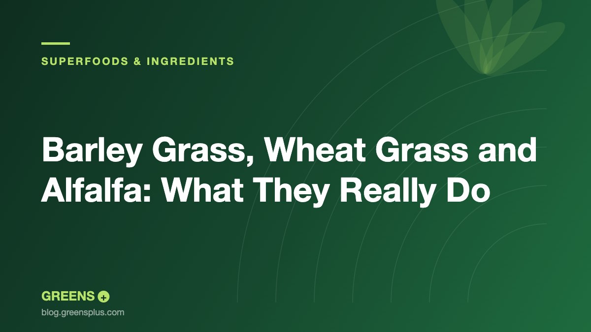 Barley Grass, Wheat Grass and Alfalfa: What They Really Do — Greens Plus