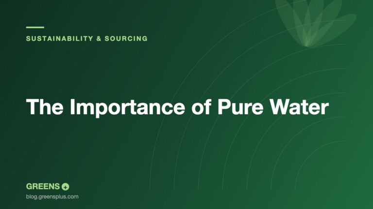 The Importance of Pure Water — Greens Plus