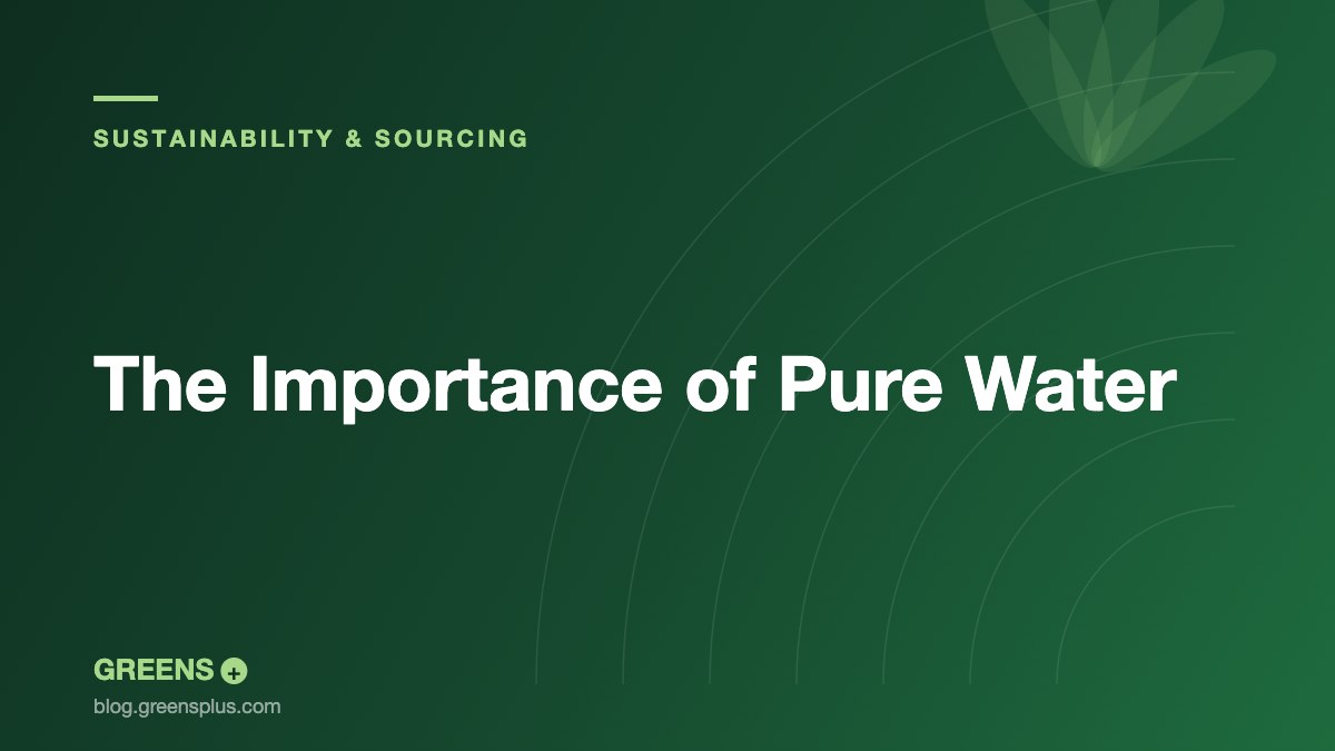 The Importance of Pure Water — Greens Plus